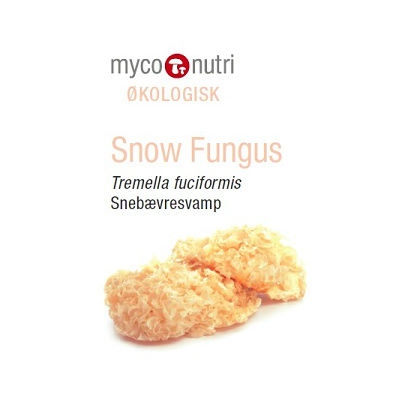 Økologisk Snow Fungus